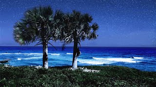 Sleeping By The Palm Trees With Soothing Ocean Sounds Deep Sleep Video From Orchid Bay Beach [upl. by Ylrrad431]