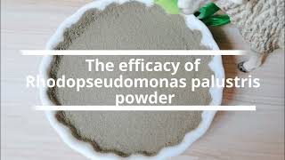 Introduction to Rhodopseudomonas palustris powder [upl. by Neoma]