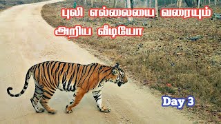 Very Close Tiger Encounter in Kabini Safari  தொட்டுப்பார்க்கும் தூரத்தில் புலி  Jolly Trip [upl. by Annasus]