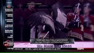 Condor at a Hockey Game [upl. by Latsryc]