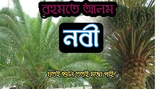 romote alom nobi নবীজী সাল্লাল্লাহু আলাইহি ওয়াসাল্লামকে নিয়ে গজল। [upl. by Mariken]