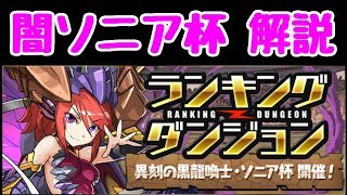 【パズドラ】ランキングダンジョン 闇ソニア杯 解説 ラストパズルはこう組む！！ [upl. by Chemar]