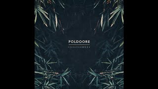 Poldoore  Forevermore  FULL EP 2019 [upl. by Shuler]