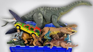 HUGE Jurassic World Dinosaur Figure Unboxing Haul  TRex Apatosaurus Mosasaurus and More [upl. by Biagio]