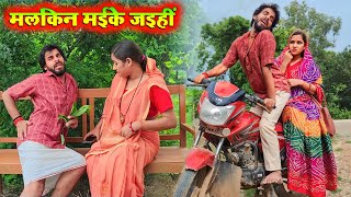 मलिकन मइके जइहीं  Avinash Tiwari Comedy  bagheli comedy video [upl. by Josephson]