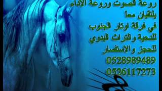 دحيه بدويه 2013 فرقة اوتار الجنوب [upl. by Holna]