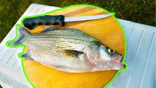 White Bass CATCH CLEAN COOK So Delicious [upl. by Niloc256]