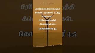 Inspirational Bible Verse For Today  Tamil  Colossians 45  11th Oct dailybibleverse [upl. by Maxentia]