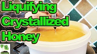 How To Convert Crystallized Honey Back To Liquid Honey [upl. by Leveroni]