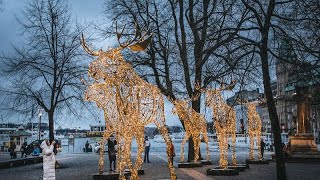 Lichter Lichter Lichter in Stockholm [upl. by Margetts734]