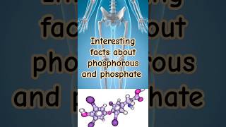 Difference between phosphorus and phosphate [upl. by Ytirahs590]