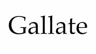 How to Pronounce Gallate [upl. by Norad]