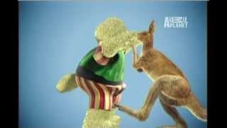 UTUC Kangaroo Attack [upl. by Chaworth]