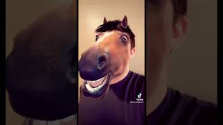 TikTokSnapchat filter horse head reversed 🐴 [upl. by Rosenberger323]