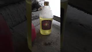 FOOD SAFE CHAINSAW OIL [upl. by Tadeas]