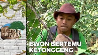 LUCU BANGET Ewon Bertemu Kukang Hutan  JEJAK RIMBA EPS 20 [upl. by Nachison]