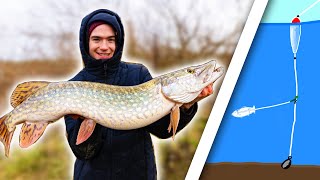 How To Catch Big River Pike  The Paternoster Rig [upl. by Julis565]