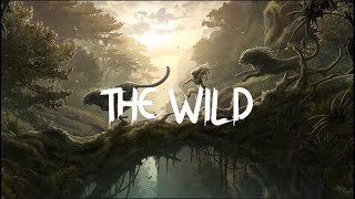 The Wild  ChillstepMelodic Dubstep Mix [upl. by Llieno]