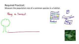 Measuring Population Size Along a transect AQA Biology Required Practical [upl. by Tessil141]