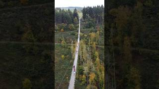 The Geierlay Germanys longest suspension bridge travel dji drone explore deutsch nature [upl. by Heisser]