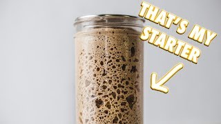 The Ultimate Sourdough Starter Guide [upl. by Hart]