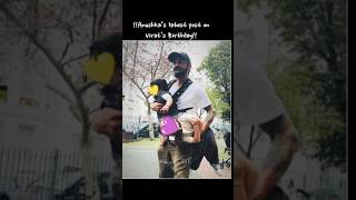 Wait Till end 🔥 Virat Kohli Birthday Edit  First Glimp of Akaay kohli our junior king shorts [upl. by Heinrik855]