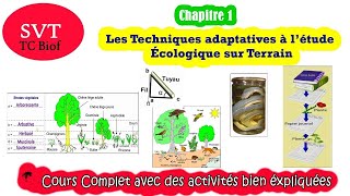 TC Biof  SVT  Les Techniques adaptatives à l’étude Écologique sur Terrain [upl. by Aholla]