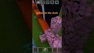 I made Darwin the 🦆minecraft [upl. by Surazal]