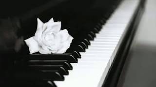 Chopin  Nocturne Op 9 n 2 Maurizio Pollini [upl. by Philpot]