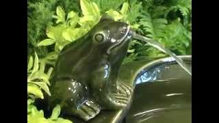 PWF7092 Frog garden fountain solar powered [upl. by Einahpats]