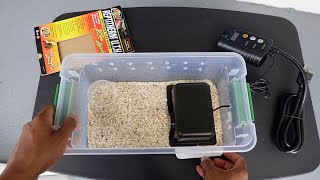 Hognose Snake Enclosure Setup for Baby Snakes [upl. by Holna]