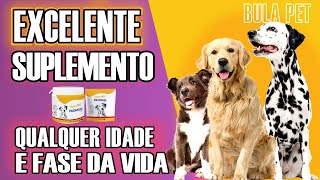 Suplemento Vitamínico para cães de qualquer idade  Promun Dog [upl. by Atiragram]