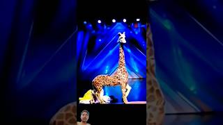 Americas Got Talent Giraffe 🦒 Magic😱😨  Duo SchumacherAGTamericagottalentmagic [upl. by Dione]