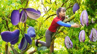 Harvesting Fresh Mushroom Goes to market sell Mushroom farm  Tiểu Vân Daily Life [upl. by Naira]