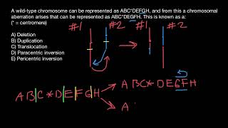 Translocation Paracentric inversion Pericentric inversion [upl. by Assirhc]