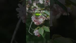 Switch to a Garden Life [upl. by Naic]