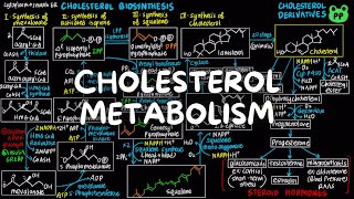 Cholesterol Metabolism  Lipid Metabolism 07  Biochemistry  PP Notes  Lehninger 6E Ch 214 [upl. by Winona]