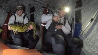 Ice camping for Burbot Ice Fishing Eelpout tips and tricks [upl. by Arras]