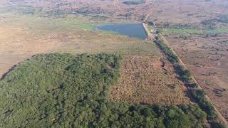 Lisoka  Bamboo Plantation Malawi [upl. by Leuas]