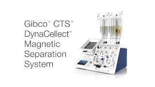 Gibco CTS DynaCellect Magnetic Separation System 121 [upl. by Dorolice856]