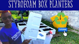 How to Make a Planter out of a Foam Box CHEAP DIY PLANTER Yaje Ngala [upl. by Aleina]