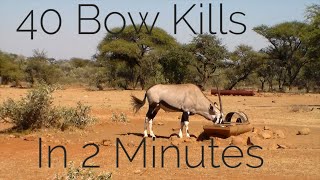 Bow Hunting Africa  40 Bow Kills In 2 Minutes [upl. by Ailime]