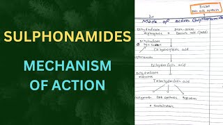 Mechanism Of Action Of Sulphonamides  Mode of action Sulphonamides MOA [upl. by Ahsillek]