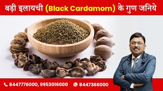 बड़ी इलायची Black Cardamom के गुण जनिये  Benefits of Black Cardamom Badi Elaichi  SAAOL [upl. by Ilahtan]