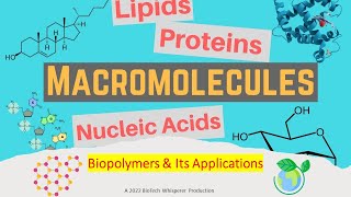 Biopolymers A Guide to EcoFriendly Materials 3 Minutes [upl. by Atinoj]