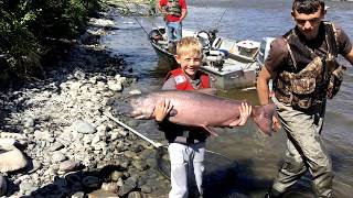 King Salmon Fishing on the Gulkana River 2017 [upl. by Anesuza]