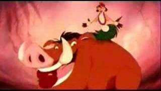 Lion King  Timon and Pumbaa Hula Dance [upl. by Tallulah560]