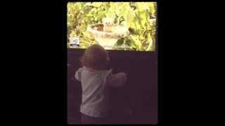 Copy of edf energy advert funny dancing baby [upl. by Nolahp]