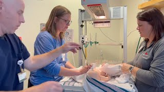 Neonatal Resuscitation in Five Minutes [upl. by Annawahs]