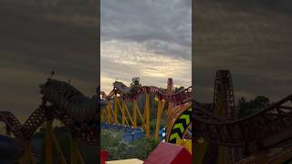 Slinky Dog Coaster at Disney World Shorts [upl. by Jari]